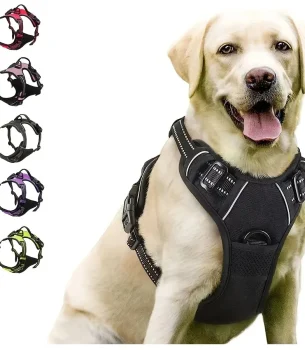 Dog Collars Harness Big Vests Leash Pet Shop Everything for Dogs Leather Puppy Accessories Medium Small Set