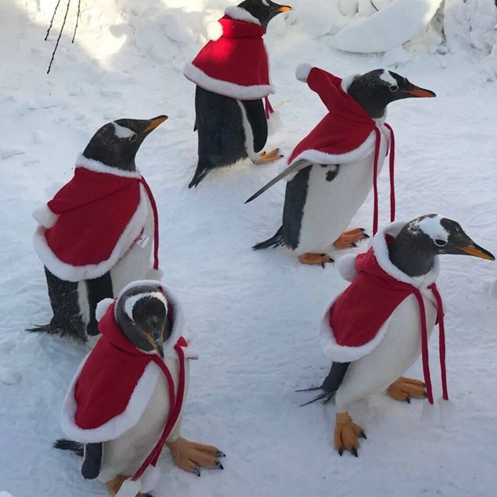 Pet Cat Dog Cape Change Into Santa Cape Deer Red Riding Hood Warm Plush Kawaii Comfortable Windproof Repeat Costume - Image 6