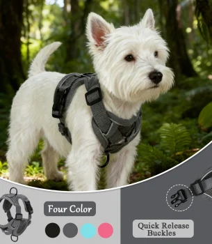 Pet Harness and Leash Set Reflective Walking Puppy Vest Chest Strap For Small Dogs Cats Breathable Outdoor Harnesses With D-Ring
