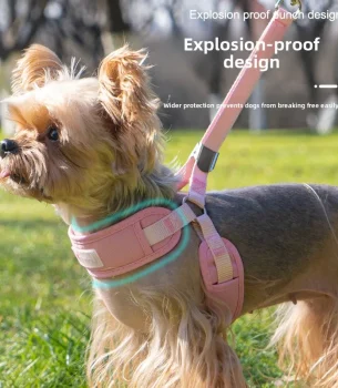 Dog Harness No Pull, Reflective Adjustable Pet Vest, Comfortable Breathable Mesh Puppy Harness with Leash for Small Dogs