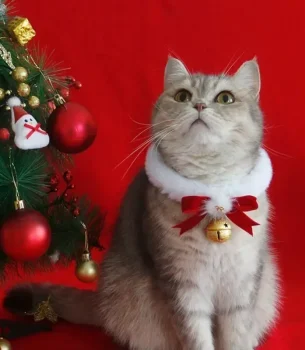 Christmas Theme Cat Collar Scarf Bow Bell Easy To Clean Collar Warm Cat And Dog Jewelry Christmas
