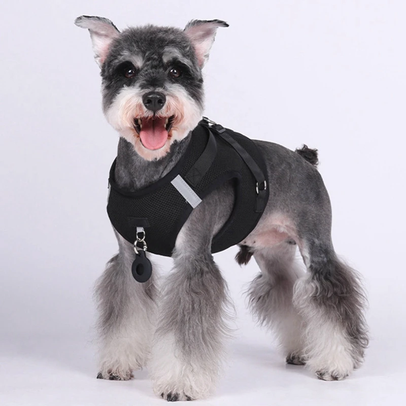 Pet Harness With Airtag Tracker And Leash Sets Puppy Cat Chest Strap For Small Medium Dogs Cat Harnesses Vest Outdoor Leads Rope - Image 3