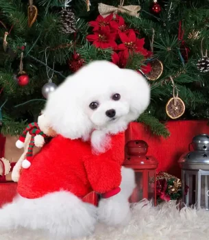 Pet Christmas Costumes Cartoon Pet Winter Plush Dress Warm Dog Cosplay Hoodie Dog Holiday Apparel With Bear For