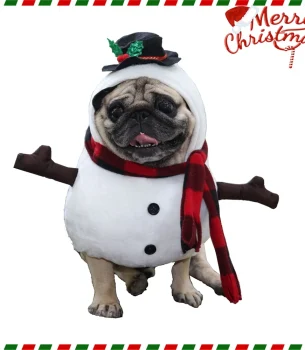 Halloween Dog Cat Costumes Christmas Funny Clothes Autumn And Winter Standing Snowman Costume Pet Supplies