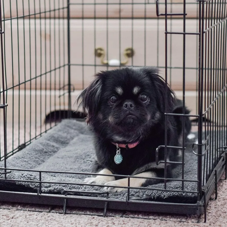 SelfWarming Cat Bed Pad Self Heating Pad for Outdoor Cat Houses Warming Mat for Indoor Pet Beds Furniture Reversible Blanket Ma - Image 6