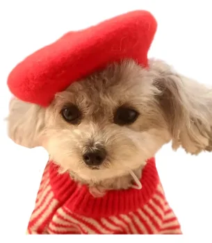 Dog Cat Beret Wool Hat Headband French Artist Beanie Beret Pet Dog Christmas Costume Hair Accessory Photo Props Red One Size